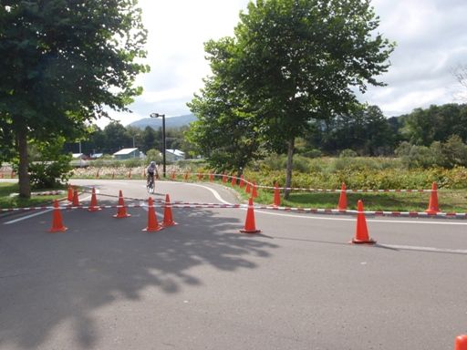 イメージ 15