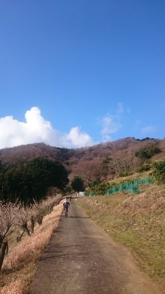 イメージ 7
