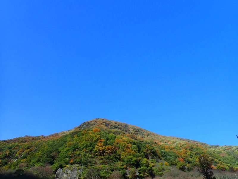 イメージ 31