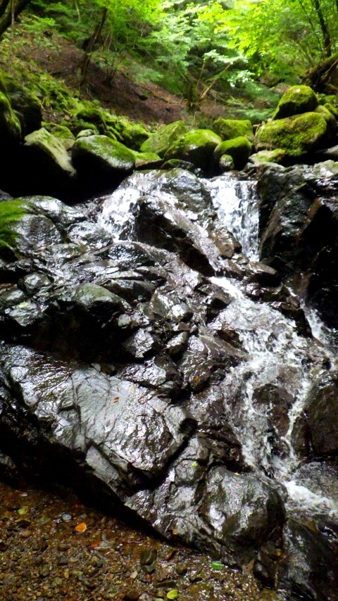 batch_RIMG0815