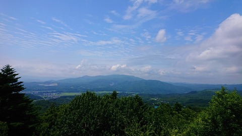 DSC_0374