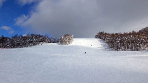 RIMG3353