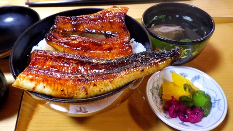 RIMG9291