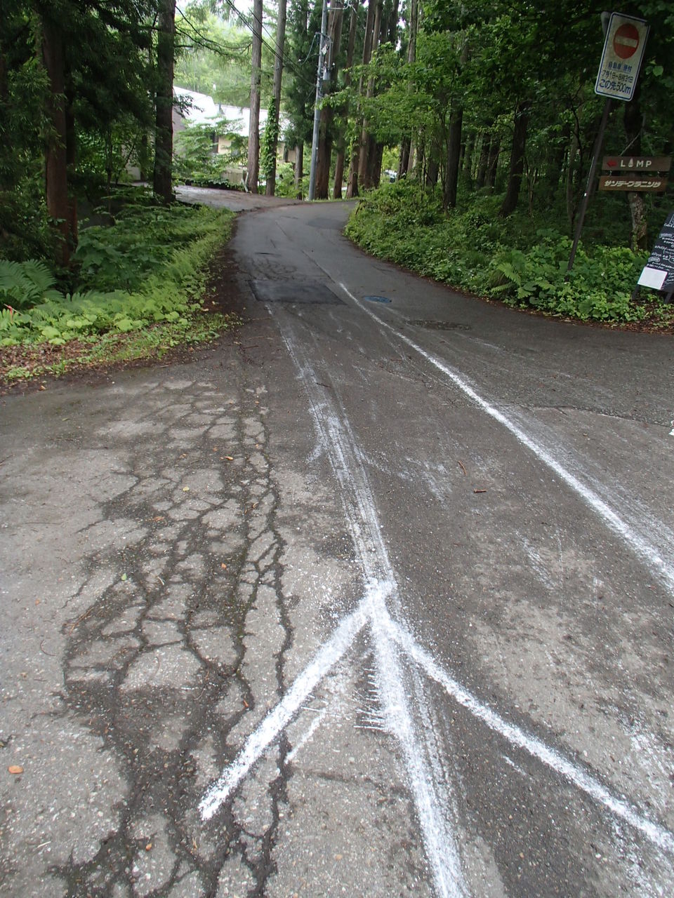 イメージ 10