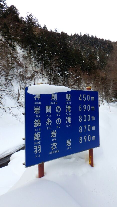 RIMG3219