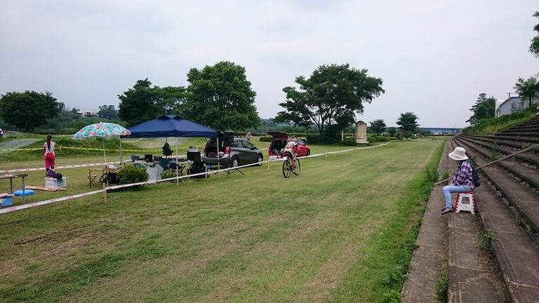 イメージ 19