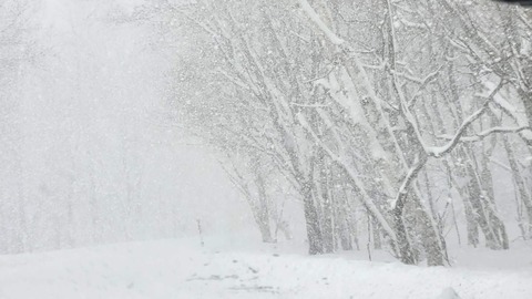 effb9d57-88c6-48b7-9f10-d90c84ba63a8