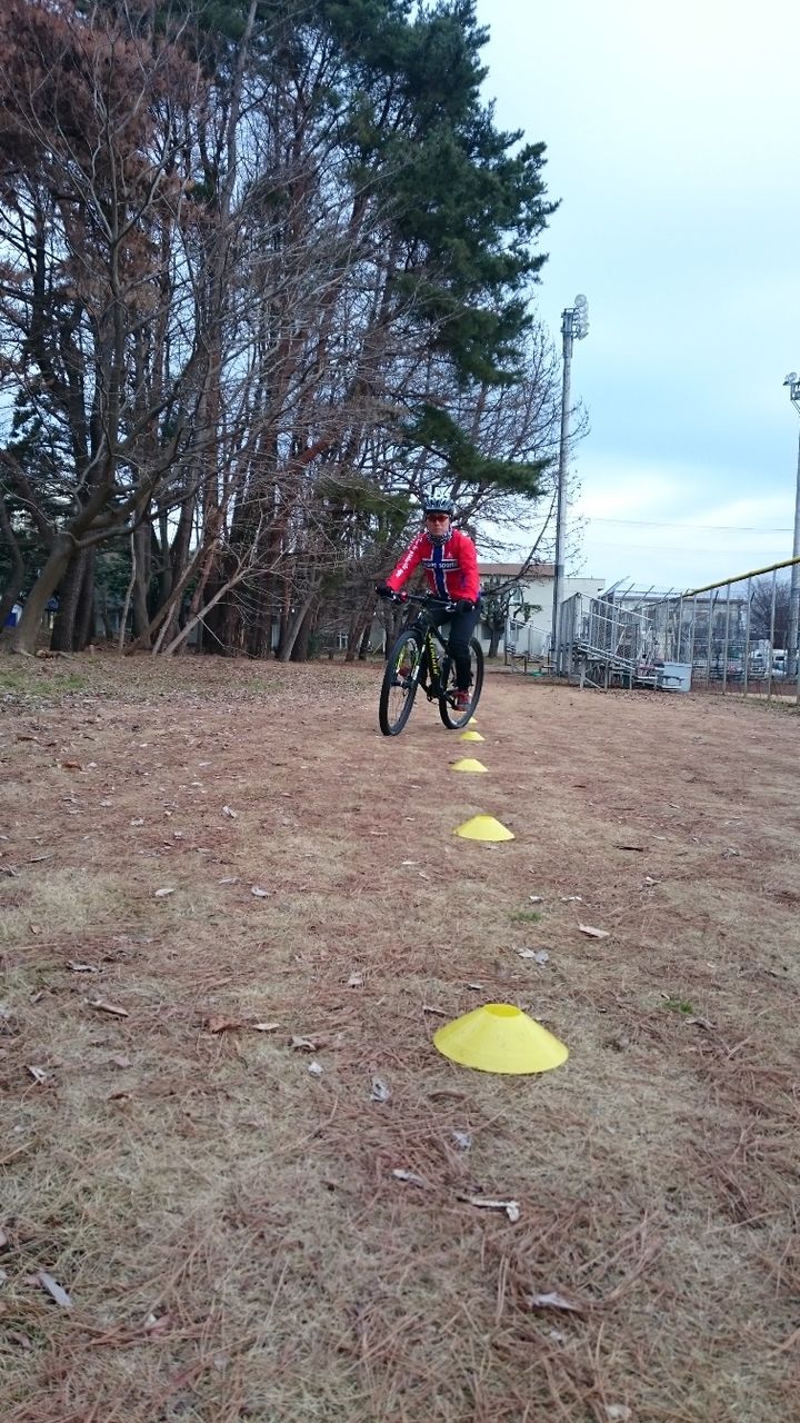 イメージ 3