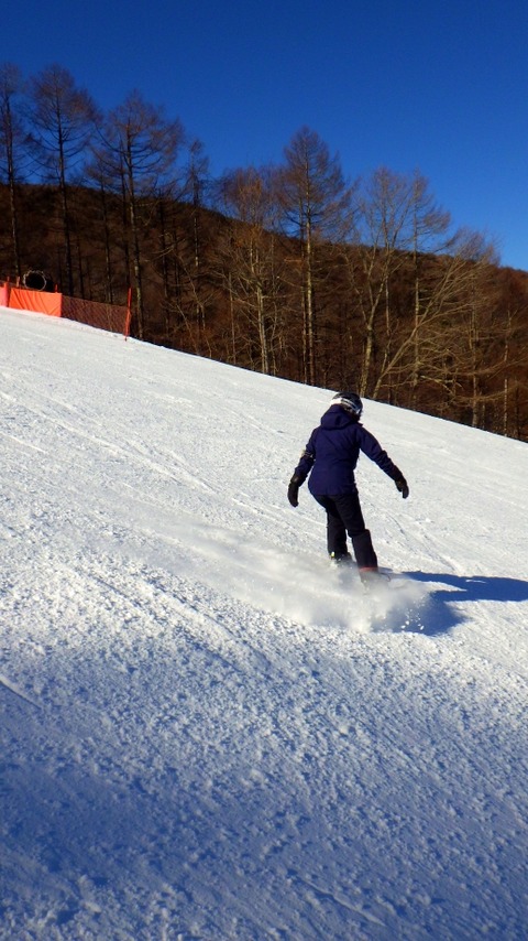 RIMG1508