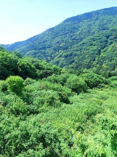 P5160002