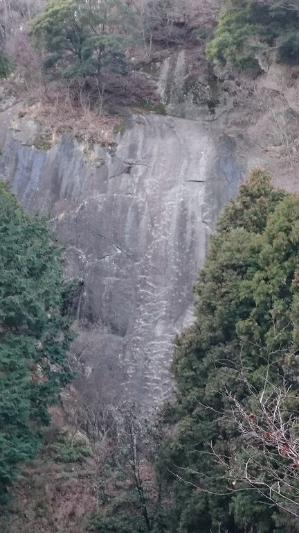 イメージ 7