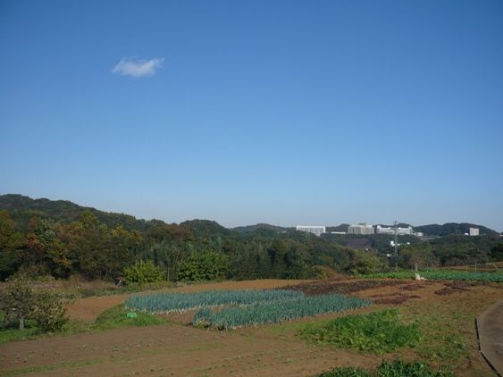 https://livedoor.blogimg.jp/js1ktr/imgs/e/4/e43854a3.jpg