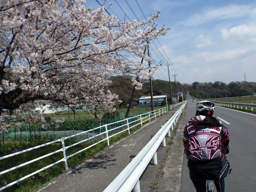 イメージ 5