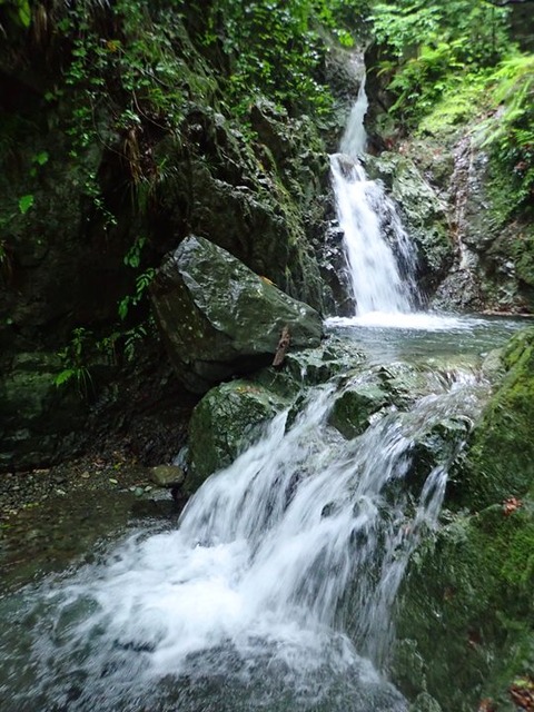 P6090028