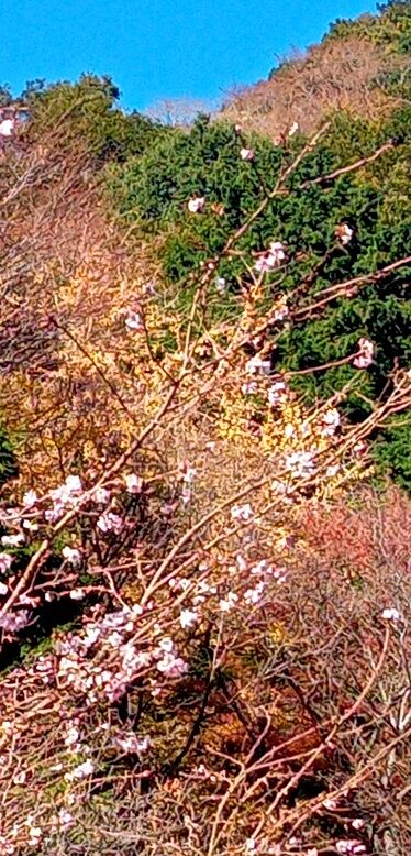 batch_IMG_20251207_130750