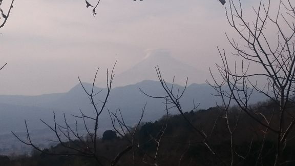 イメージ 39