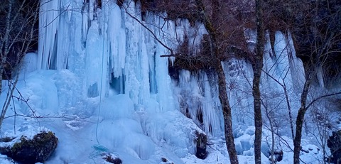 batch_IMG_20250227_092511