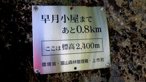 batch_RIMG8157