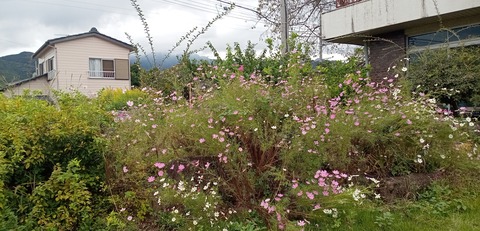 IMG_20251019_130853