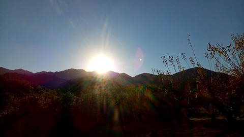 DSC_1892
