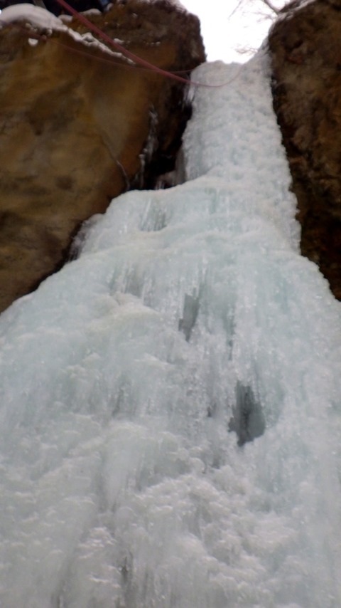 batch_RIMG4988 - コピー