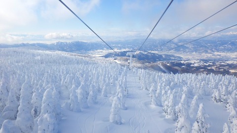 RIMG3287