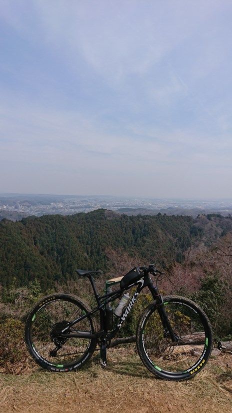 イメージ 3