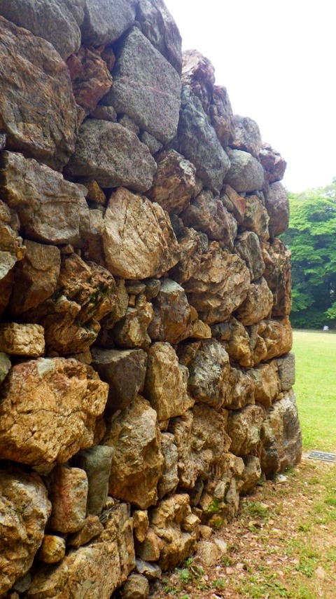 batch_RIMG8360
