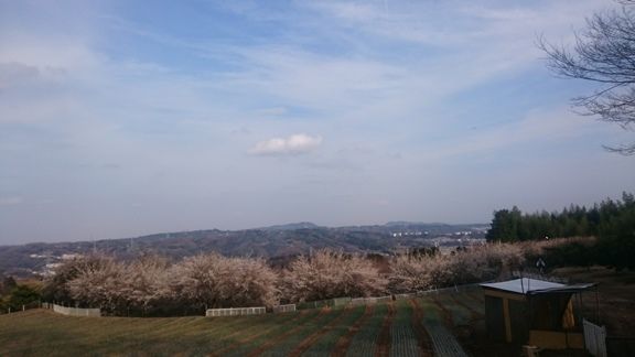 イメージ 34