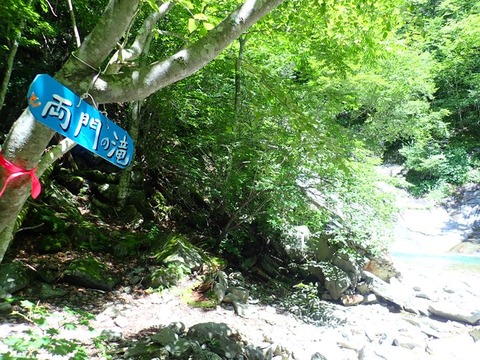 P8060091
