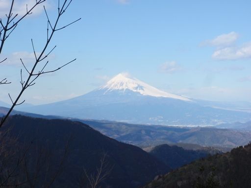 イメージ 17