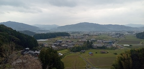IMG_20250410_142336