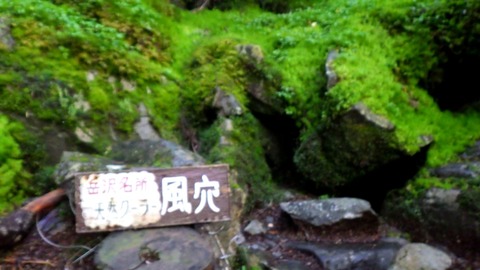 batch_RIMG0931