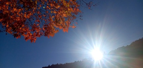 batch_IMG_20251207_132912