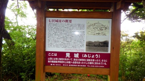 RIMG7662
