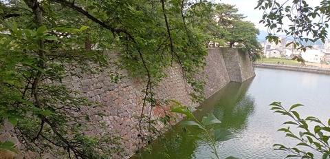 IMG_20240607_174050