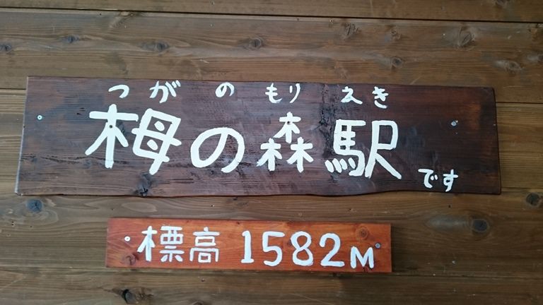 イメージ 11
