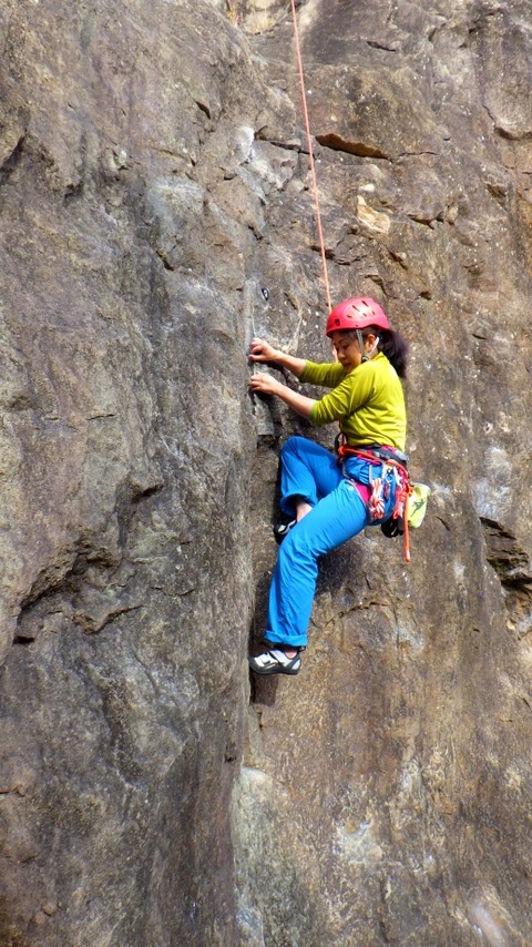 RIMG9529
