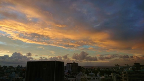 DSC_1481