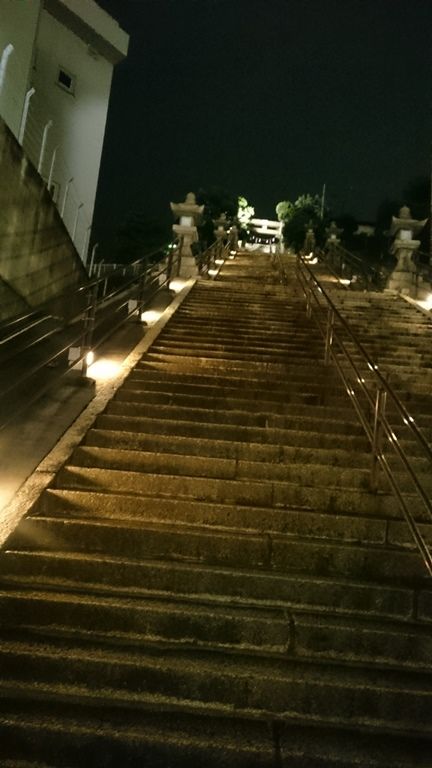 イメージ 16
