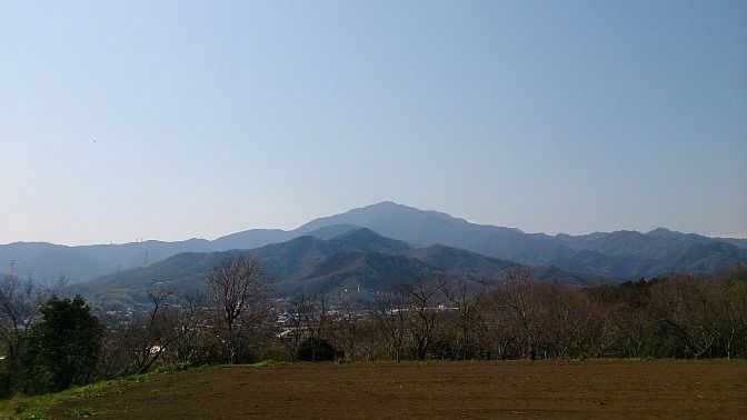 イメージ 10