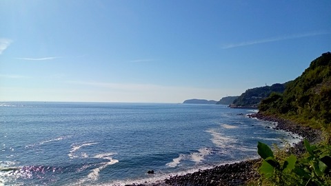DSC_2616