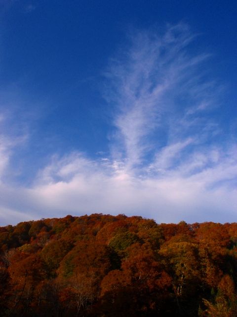 イメージ 9
