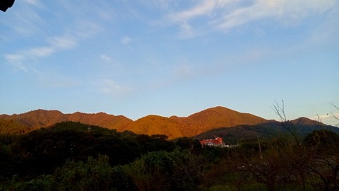 DSC_2768