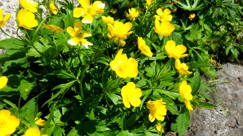 batch_RIMG9126