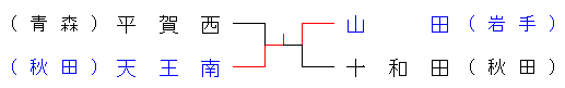 2013touhokuB