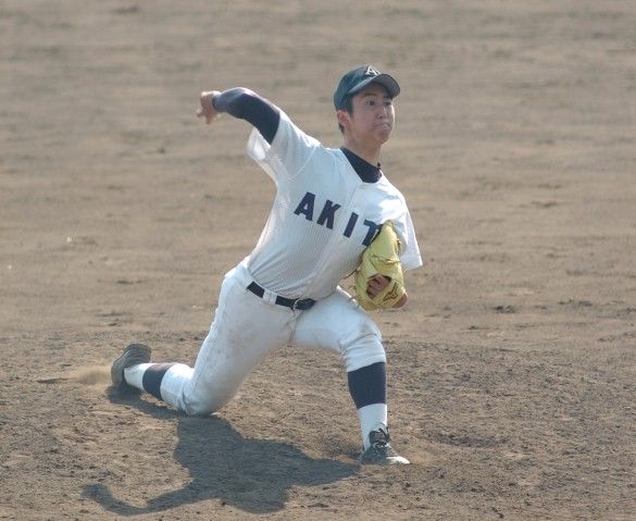 akita-2