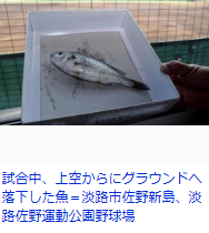 uo