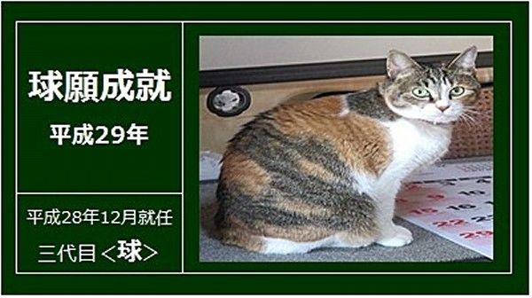 tama