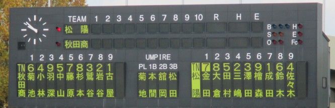 31